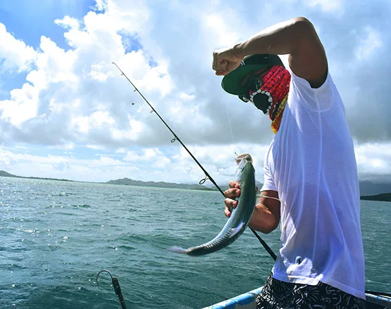 Hand Fishing - 南宫28
