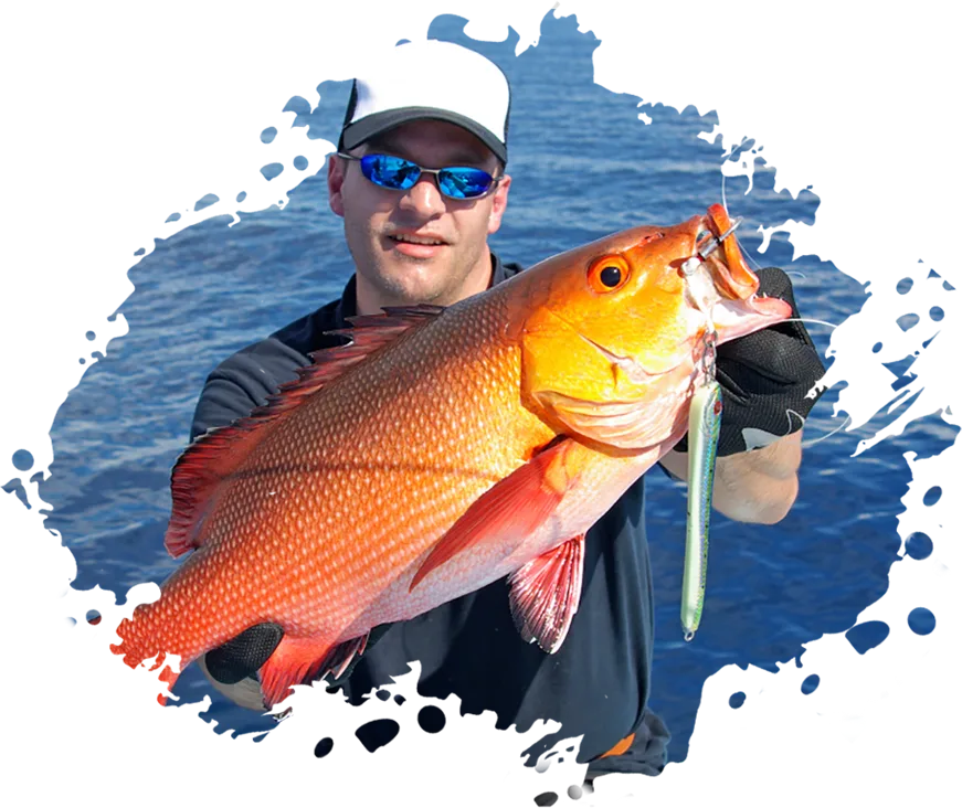 Modern Design Exotic Fishinizerry - 南宫28
