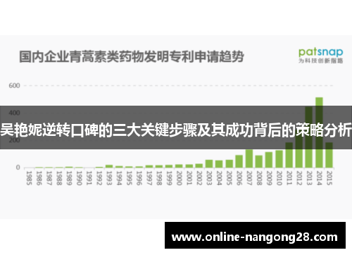 吴艳妮逆转口碑的三大关键步骤及其成功背后的策略分析