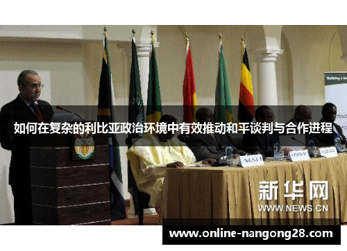 如何在复杂的利比亚政治环境中有效推动和平谈判与合作进程